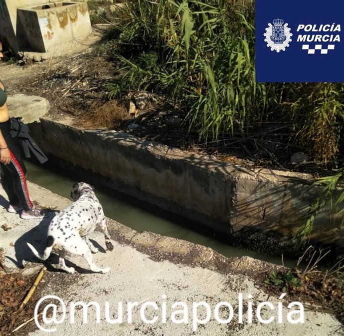 Imagen de la mujer y el perro, en la acequia tras ser rescatados