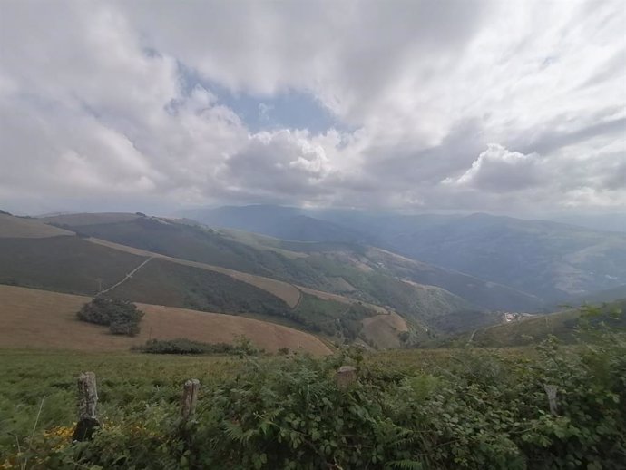 Montes, zona rural, concentración parcelaria, Cangas del Narcea, Alto del Acebo.