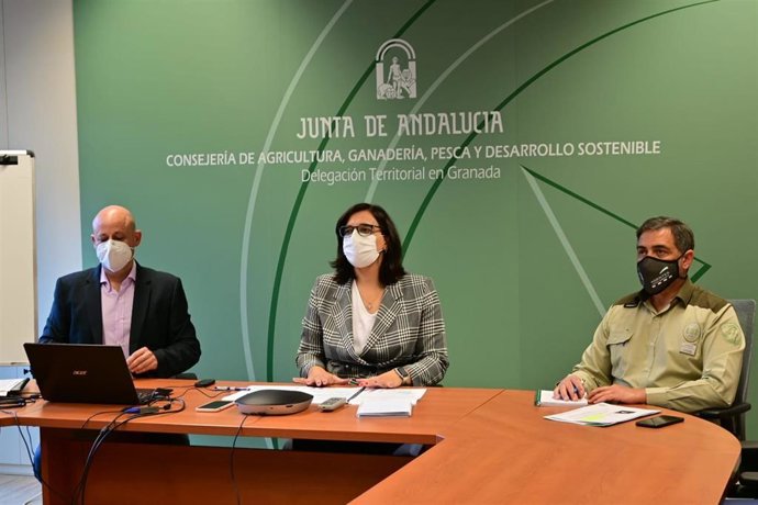 Evaluación del Plan Infoca en Granada