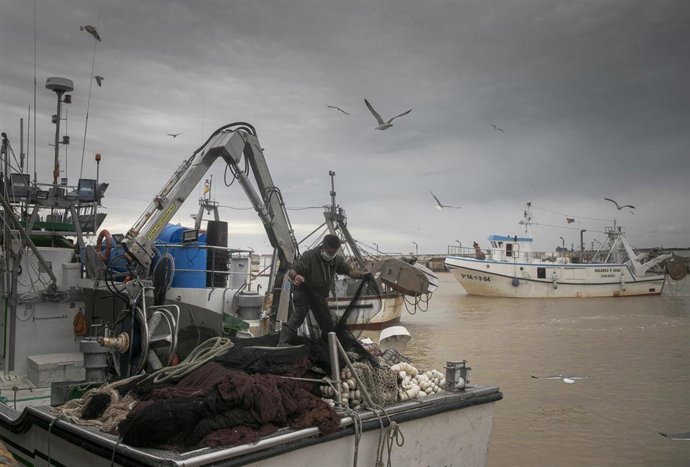 Llegada de un barco pesquero a  la lonja de la Cofradía de Pescadores de Sanlúcar de Barrameda, que han implantado más seguridad y medidas de protección para poder trabajar de la forma más segura posible durante la pandemia del coronavirus 