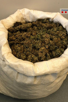 El sac amb els cabdells de marihuana que els Mossos van trobar en una furgoneta a Jafre, en una imatge cedida aquest 9 de novembre del 2020. (Vertical)
