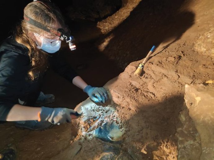 Pla mitj d'una investigadora treballant en l'excavació a les Coves de l'Espluga de Francolí el novembre del 2020. Imatge publicada el 9 de novembre del 2020. (Horitzontal)