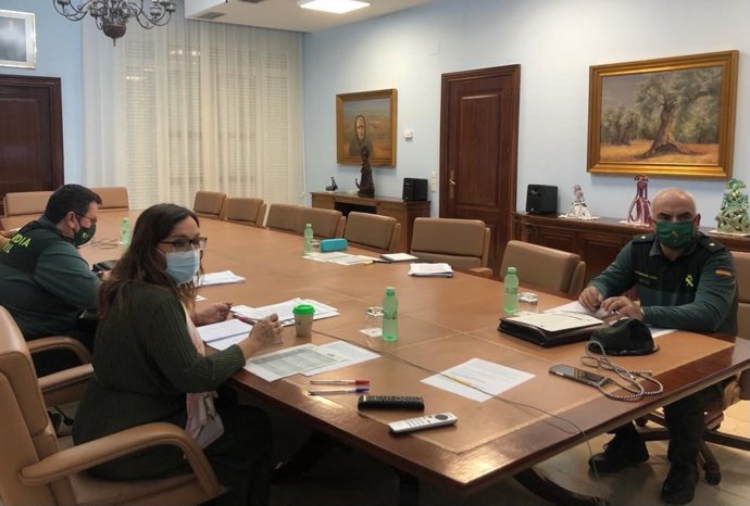 Reunión por viodeconferencia con los ayuntamientos de la provincia