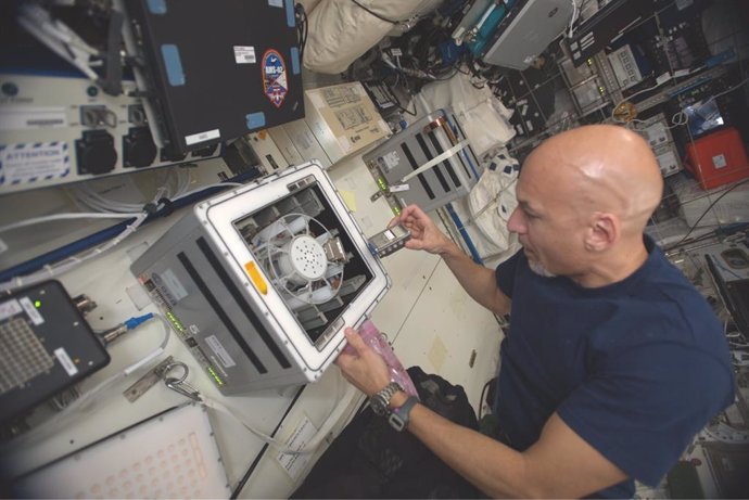 Luca Parmitano coloca reactores de biominería en una centrífuga a bordo de la Estación Espacial Internacional
