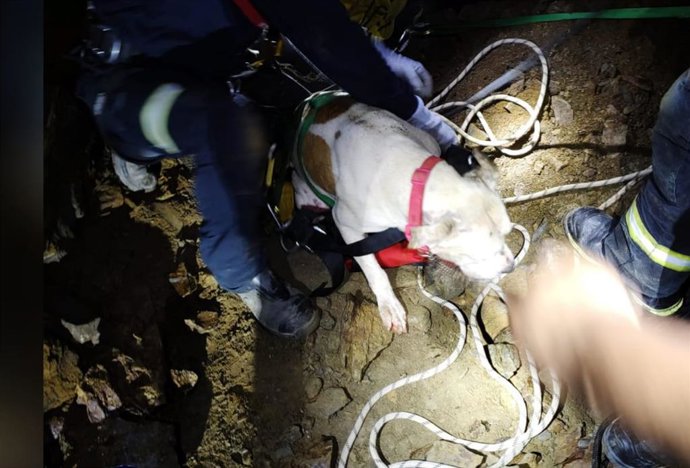 Imagen del rescate de un perro que había caído a un pozo de 20 metros, con agua en su interior