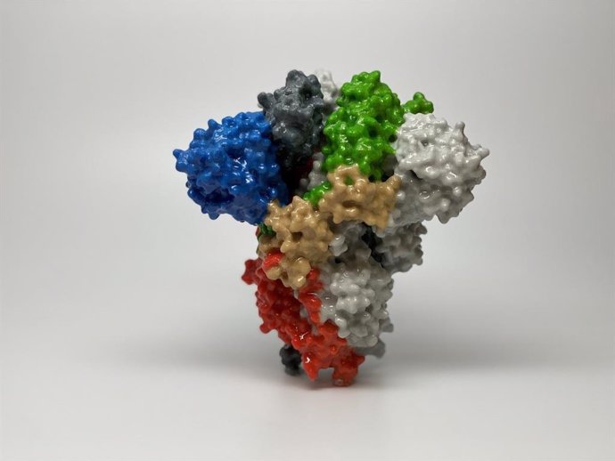 Recreación 3D de la proteína spike del virus SARS-CoV-2./ National Institute of Allergy and Infectious Diseases (NIAID)