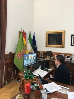 Reyes participan en la webinar sobre 'Movilidad rural'.