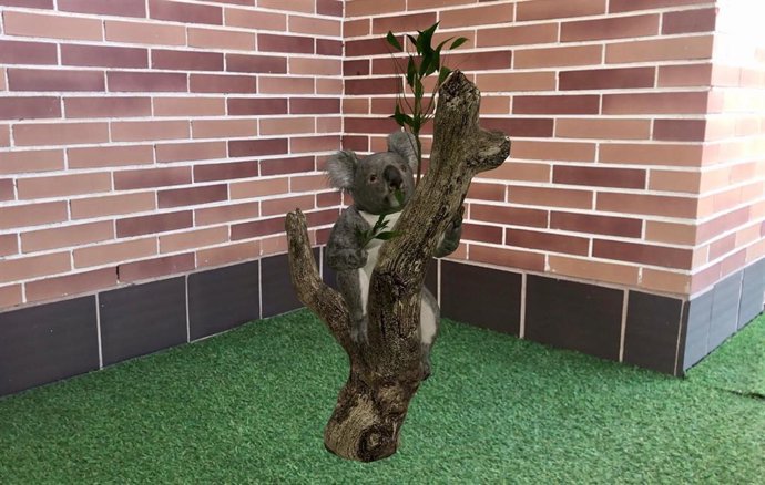 Realidad aumentada de Google