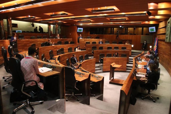 Pleno de la Junta General