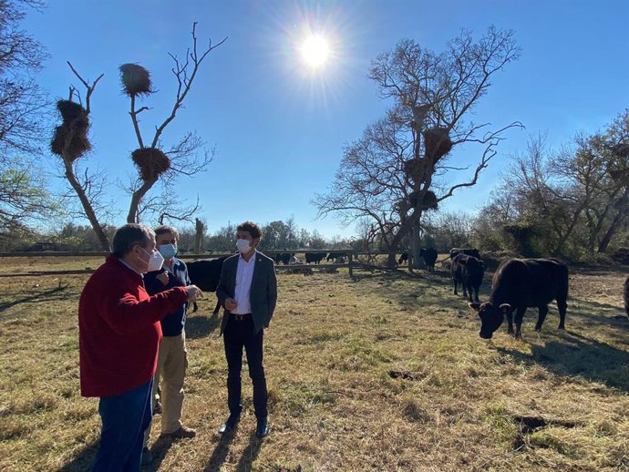 El conseller de Territorio y Sostenibilidad, Dami Calvet, con el director general de Políticas Ambientales y Medio Natural, Ferran Miralles, y el director de los Aiguamolls de l'Empord, Sergi Romero.