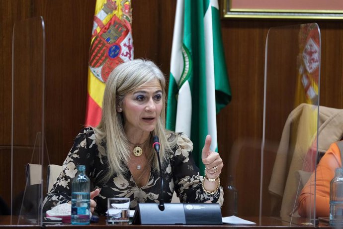 Del Pozo en la comisión de Cultura