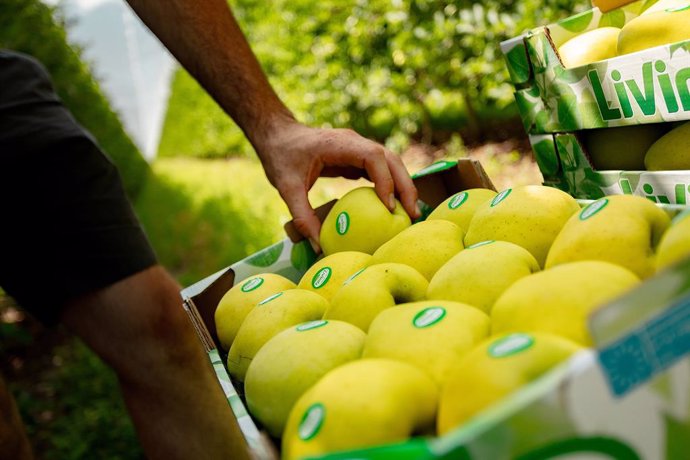 Carrefour aumenta su compra de manzanas en España