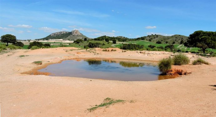 [Comunicacionumu] Un Estudio De La Umu Afirma Que El 50% De La Biodiversidad Acuática Se Vería Comprometida Con La Desaparición De Las Charcas Naturales