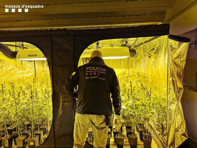 Sucesos.- Detenido un fugitivo de una prisión danesa en Manresa (Barcelona)