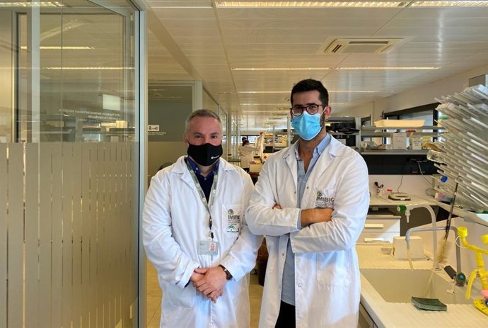 Responsables del estudio