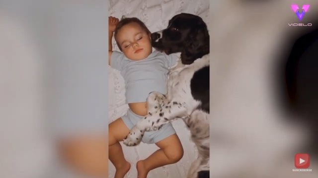 Estos vídeos capturan el tierno vínculo entre un niño y su perro, a los que les gusta acurrucarse juntos para dormir