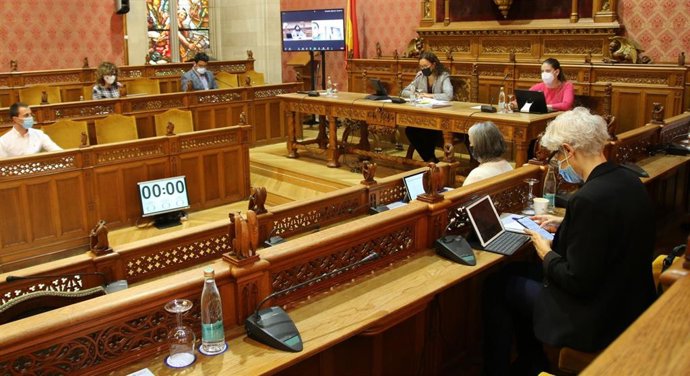 Pleno del Consell de Mallorca.