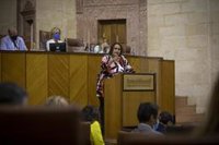 Los diputados de Adelante acuerdan presentar enmienda a la totalidad a los Presupuestos tras un "ímprobo debate" interno