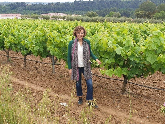 Fotografies De La Jornada De Reflexió De Dolors Montserrat, Isabel Díaz Ayuso i José Luis Martínez Almeida