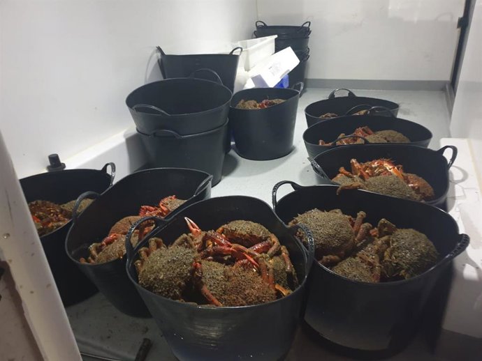Intervenidos 35,42 kilogramos de centolla en Muros (A Coruña).