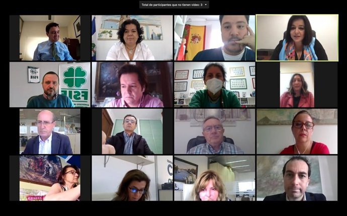 Imagen de la videoconferencia múltiple