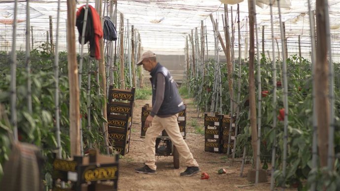 Fotograma del documental 'Después de las ocho', sobre el alzamiento racista en El Ejido del 2000 y las diversas caras de un conflicto "que todavía es vigente".