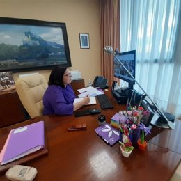 La consejera de Agricultura, Begoña García Bernal, durante una videoconferencia.