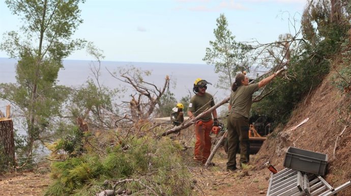 Trabajos de reparación del camí de la Volta de General, en Banyalbufar, tras el temporal de agosto.