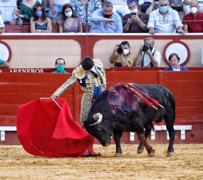 El Senado rechaza instar al Gobierno a reconocer la tauromaquia como seña de identidad propia de España