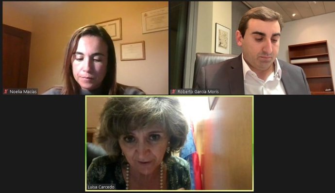 Captura del seminario web de la FSA-PSOE sobre Los Presupuestos del Estado para 2021: una respuesta de país