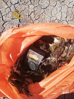 Aves capturadas por el investigado