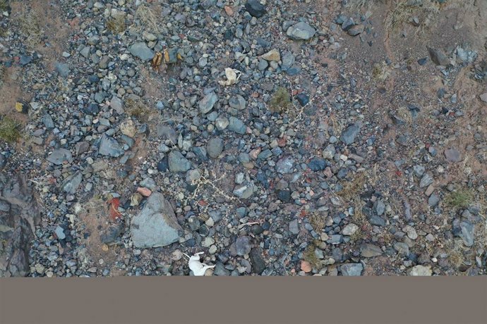 Investigados por arrojar dos perros por un acantilado en San Sebastián de La Gomera