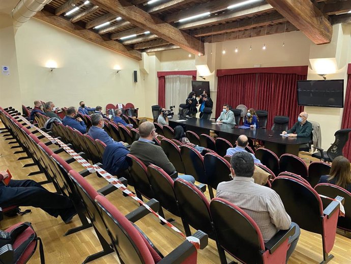 Reunión entre representantes de las Fallas y otras fiestas de la Comunitat Valenciana y la secretaria autonómica de Salud Pública, Isaura Navarro.