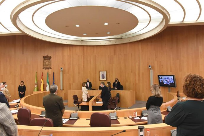 Pleno de la Diputación de Granada