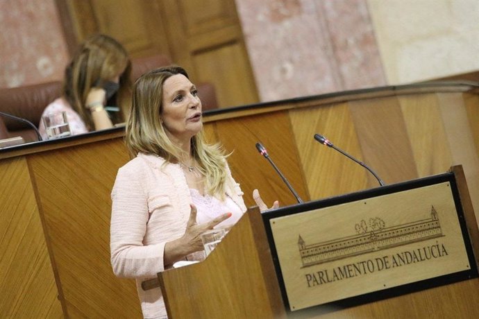 La parlamentaria andaluza de Ciudadanos (Cs) Concha Insúa, en una foto de archivo.