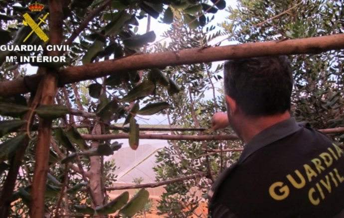 Patrulla del SEPRONA de la Guardia Civil