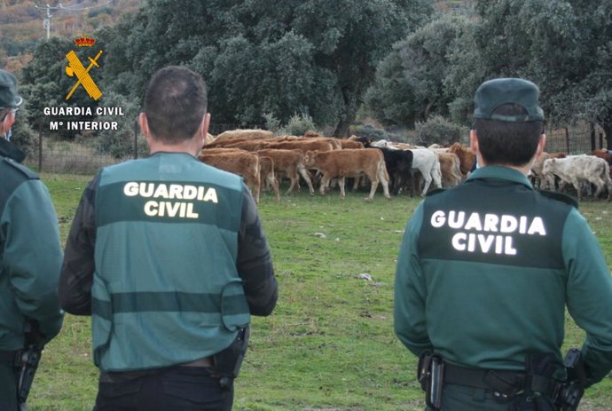 Nota De Prensa. Guardia Civil