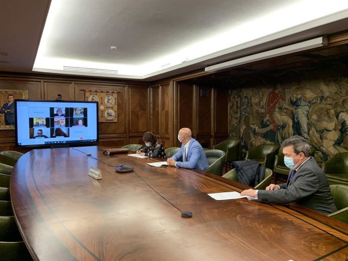 Reunion telemática de la Junta Local del Ayuntamiento de León.