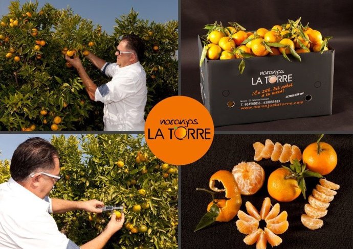 Naranjas la torre