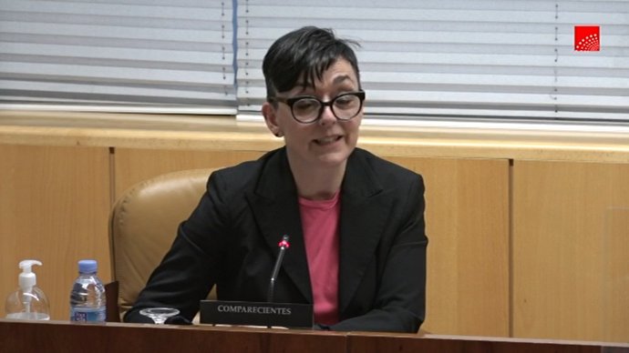 La presidenta de la Asociación Madrileña de Atención a la Dependencia (AMADE), Pilar Ramos, durante su comparecencia en la comisión de investigación de Residencias y Covid-19 de la Asamblea de Madrid