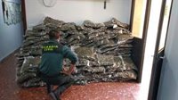 Detenido el conductor de una furgoneta en Jerez (Cádiz) con 168 kilos de cogollos de marihuana