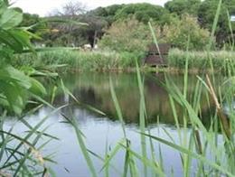 Humedal Can Cabanyes, en Granollers (Barcelona)