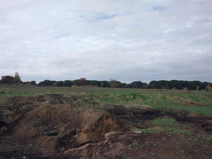 Pie parcela donde estaba previsto levantar la ciudad deportiva del Real Valladolid en Pinar de Jalón.