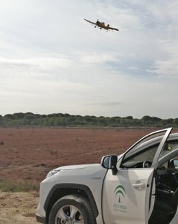 Np, Foto Y Audio Daniel Sánchez Fumigación Procesionaria Pino