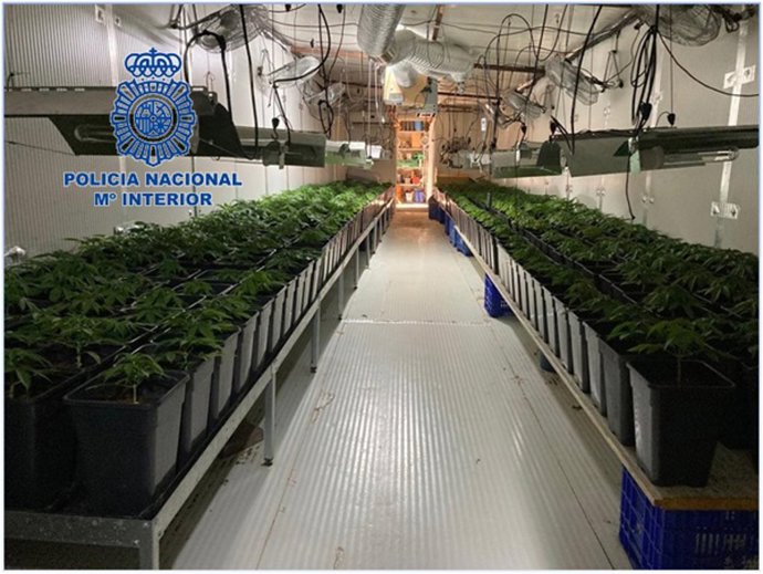 Nota De Prensa E Imagen: "La Policía Nacional Desmantela Dos Plantaciones De Marihuana Indoor Y Detiene A Tres Personas"