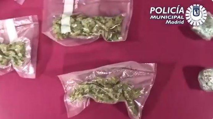 17 BOLSAS DE MARIHUANA INTERCEPTADAS A UN INDIVIDUO POR LA POLICÍA MUNICIPAL EN EL DISTRITO DE SALAMANCA