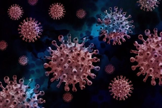 Coronavirus