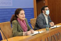 IU pide a la Junta que "tome el mando de la sanidad privada" para aliviar la tensión hospitalaria