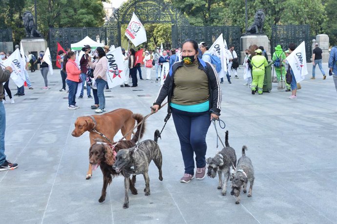 Una mujer pasea a unos perros por las calles de Ciudad de México, mientras tiene lugar una manifestación contra el Gobierno.