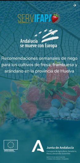 Riego Berry: La App De Ifapa Con Recomendaciones De Riego Para Fresa, Frambuesa Y Arándano (Consejería De Agricultura, Ganadería, Pesca Y Desarrollo Sostenible)